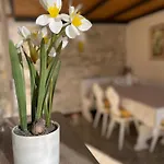 Elena Casa Turistica Apartmán *