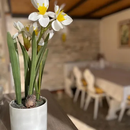 Elena Casa Turistica Apartmán *