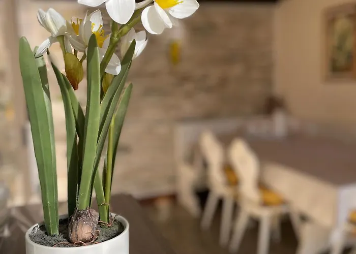 Elena Casa Turistica Apartamento *